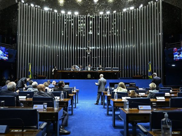 À bancada, senador Rogerio Marinho (PL-RN) - em pronunciamento.