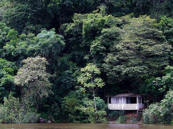 Projeto de plantio de árvores para compensação de carbono no Pará Gilberto Soares/MMA