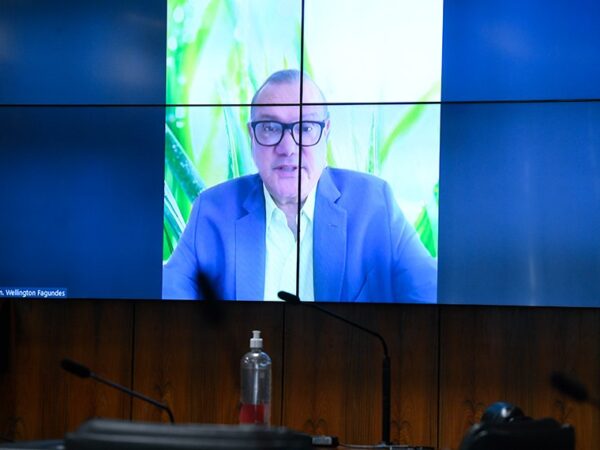 Na tela: Presidente eventual, senador Wellington Fagundes (PL-MT), em pronunciamento via videoconferência.
