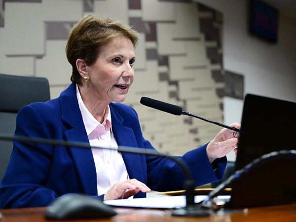 À mesa, presidente do GTMTI, senadora Tereza Cristina (PP-MS), conduz reunião.