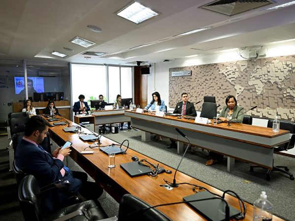 Mesa:
coordenadora do Observatório da Mulher contra a Violência do Senado Federal, Maria Teresa Firmino Prado Mauro;
coordenador geral do Conselho Gestor do Sistema Nacional de Informações de Segurança Pública (Sinesp), do Ministério da Justiça e Segurança Pública, Rafael Rodrigues de Sousa; 
deputada distrital Doutora Jane (Republicanos-DF).