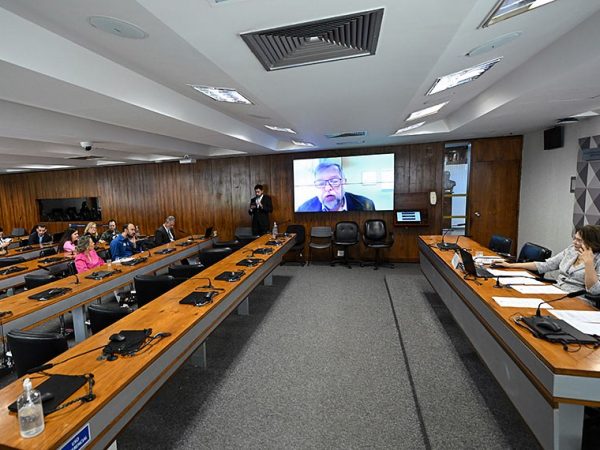 Mesa: 
presidente da CDH, senadora Damares Alves (Republicanos-DF).