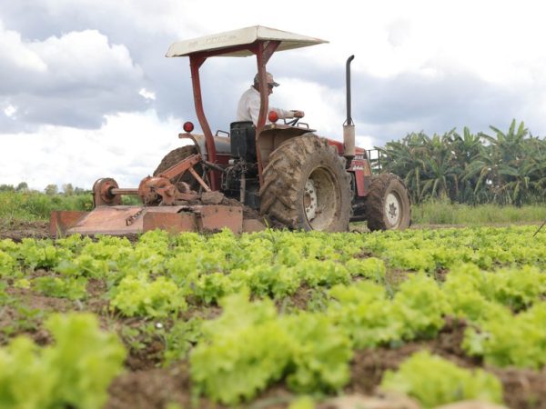 Programa anual do governo pode oferecer mais de R$ 500 bilhões em financiamento para o agronegócio em 2025 Matheus H. Souza / Agência Brasília