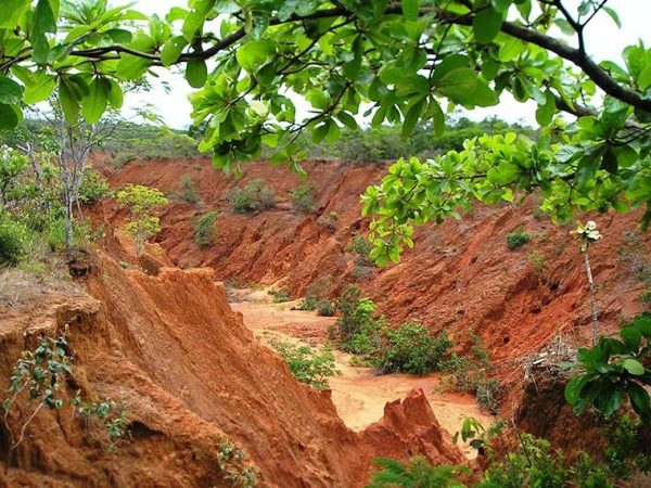 Erosão em propriedade rural do Mato Grosso: recursos não poderão ser aplicados em área de risco Claudio Lucas Capeche/Embrapa