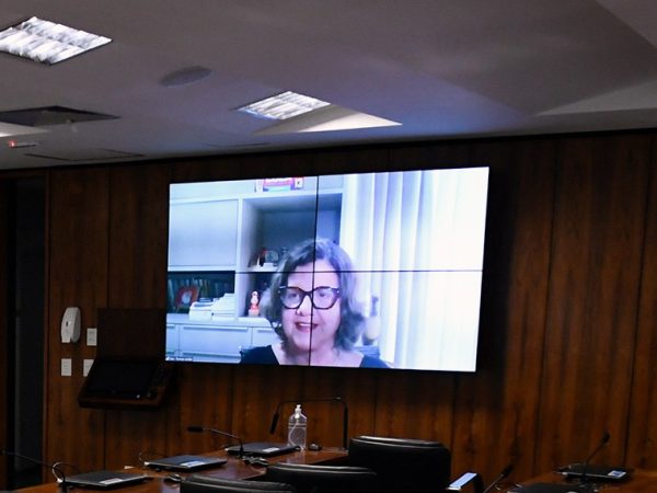 Presidente eventual da CE, senadora Teresa Leitão (PT-PE), conduz audiência remotamente.