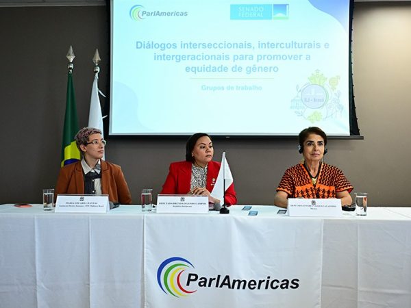 Mesa:
analista de Direitos Humanos - ONU mulheres Brasil, Maria Eduarda Dantas;
representante da República Dominicana, deputada Brenda Ogando Campos;
representante do México, deputada Antares Vazquez Alatorre.