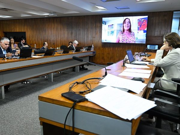 Bancada: 
senador Eduardo Girão (Novo-CE) - em pronunciamento;
senador Hermes Klann (PL-SC).