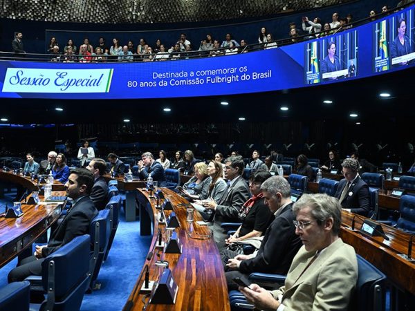 Parlamentares e convidados acompanham a sessão.