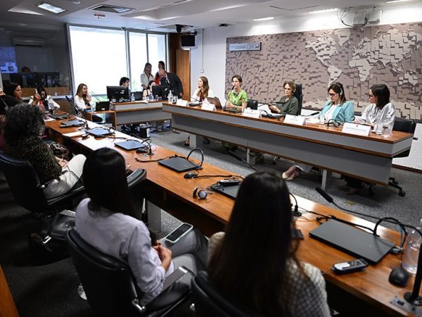 Mesa: 
diretora da Associação de Mulheres Associadas, Mães e Trabalhadoras do Brasil (Matria), Celina Lazzari;
relatora Especial da Organização das Nações Unidas sobre violência contra mulheres e meninas, Reem Alsalem;
presidente da CDH, senadora Damares Alves (Republicanos-DF);
advogada, ex-ministra da Mulher, da Família e dos Direitos Humanos, Cristiane Britto;
presidente do Instituto Isabel, advogada e profissional de relações governamentais e políticas públicas há 25 anos, especialista em Direito Processual Civil e Relações Governamentais Estratégicas e políticas públicas, Andrea Hoffmann Formiga.