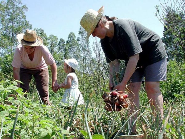 Ao transformar os programas em lei, Congresso garante sua continuidade Sindicato dos Produtores Rurais de Uberaba (SRU)