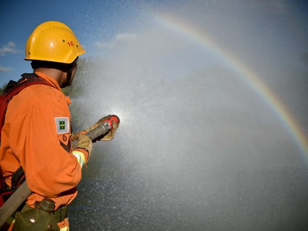 No requerimento, Leila diz que a corporação, criada em 1856, é uma das instituições mais tradicionais e respeitadas do país Andre Borges/Agência Brasília