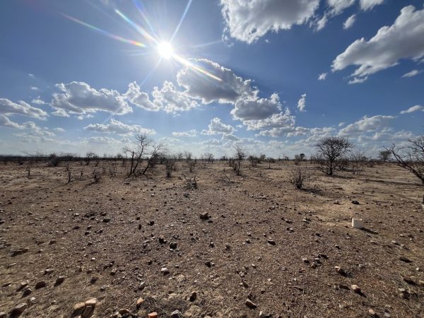 Área em processo de desertificação em Cruzeta, no interior do Rio Grande do Norte — Foto: Divulgação