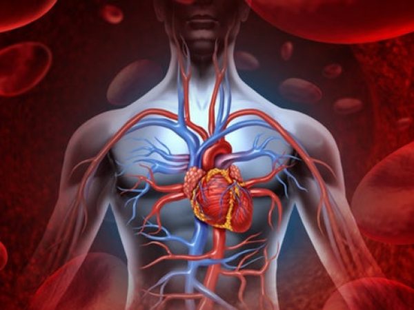 As cores da campanha têm significado direto: o azul representa as veias e o vermelho, as artérias. — Foto: Reprodução