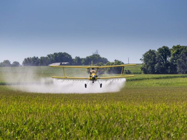 Avião pulverizando agrotóxico em plantação