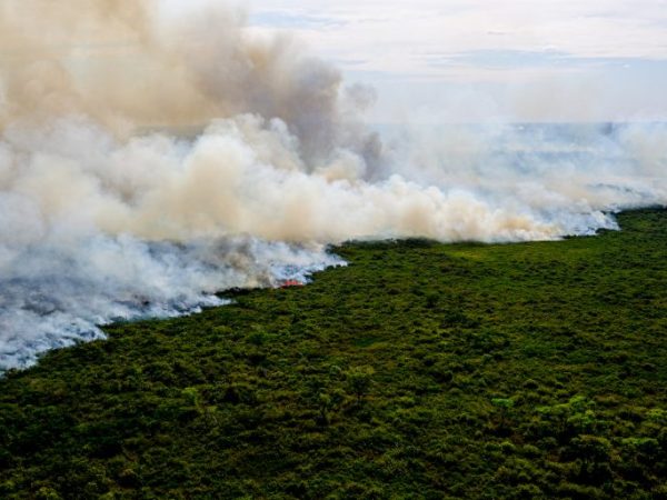 Meio Ambiente - queimada e desmatamento - destruição ambiental biomas vegetação desastres ecológicos aquecimento global temperaturas (queimadas e incêndios florestais no Pantanal, agosto de 2020)