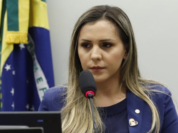 Andreia Siqueira participa de reunião de comissão
