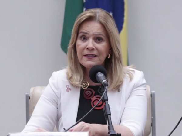 Lêda Borges fala durante reunião de comissão