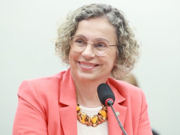 Audiência Pública - Orçamento Público em Relação à Infância, com Foco na Prevenção e Resposta à Violência. Dep. Ana Paula Lima (PT-SC)