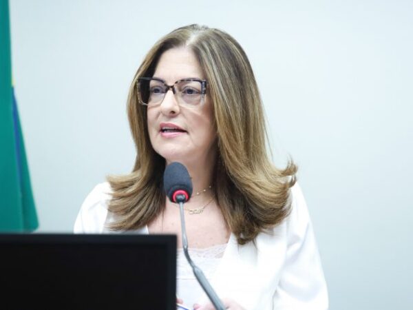 Rogéria Santos fala durante reunião de comissão