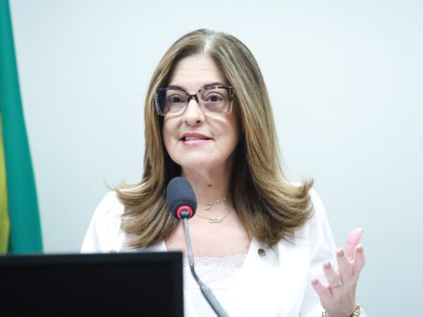 Deputada Rogéria Santos (Republicanos-BA) fala em comissão na Câmara dos Deputados