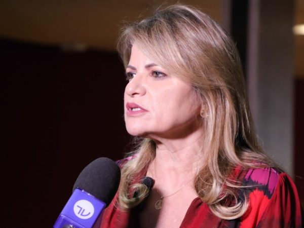 Deputada Flávia Morais fala ao microfone