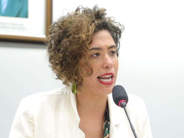 Audiência Pública - Aspectos da Economia de Cuidado.Dep.Talíria Petrone(PSOL-RJ).