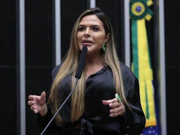 Discussão e votação de propostas. Dep. Silvye Alves (UNIÃO - GO)