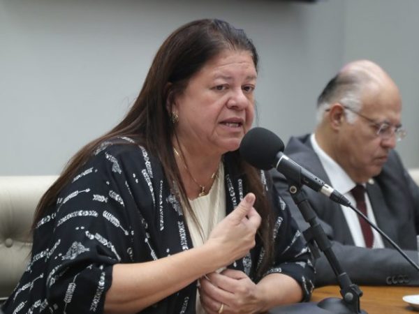 Seminário - Celebração do 30º aniversário do Ano Internacional da Família. Dep. Laura Carneiro (PSD-RJ)