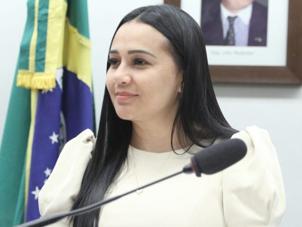 Audiência Pública - Ações para combater casos de importunação sexual e violação de privacidade. Dep. Dayany Bittencourt (UNIÃO - CE)