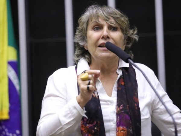 Discussão e votação de propostas. Dep. Erika Kokay (PT-DF)