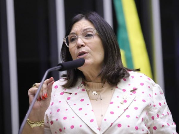 Deputada Bia Kicis discursa no plenário