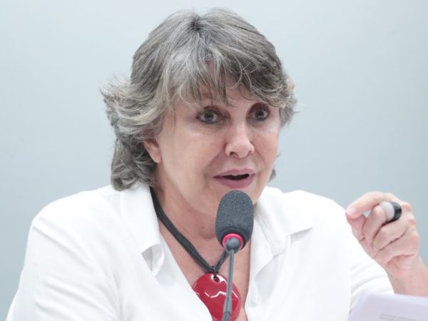 Audiência Pública - Igualdade Étnico Racial. Dep. Erika Kokay (PT - DF)