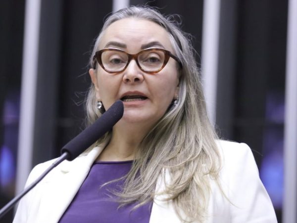 Deputada Daniela Reinehr fala ao microfone