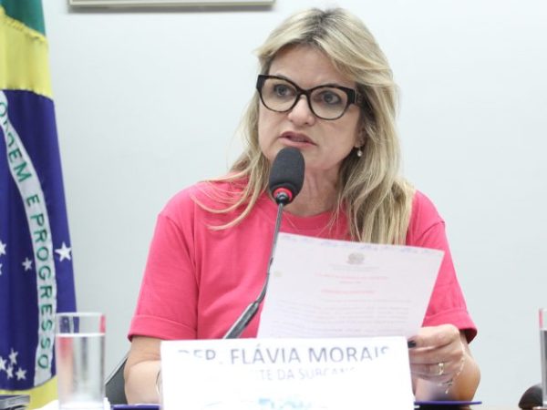 Deputada Flávia Morais (PDT-GO) fala em comissão da Câmara dos Deputados