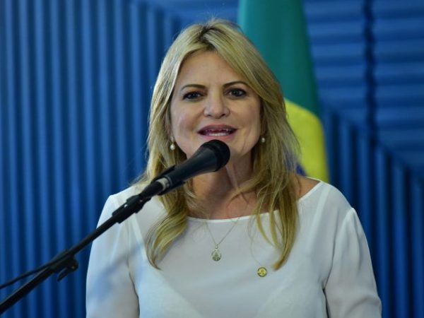 Prêmio Nise da Silveira de Boas Práticas e Inclusão em Saúde Mental 2024. Dep. Flávia Morais (PDT-GO)