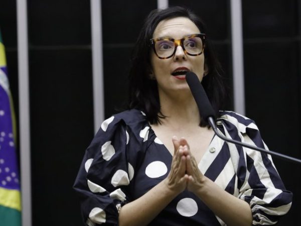 Discussão e votação de propostas legislativas. Dep. Ana Pimentel (PT - MG)