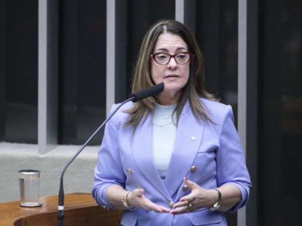 Homenagem às Conselheiras e Conselheiros Tutelares. Dep. Rogéria Santos (REPUBLICANOS - BA)