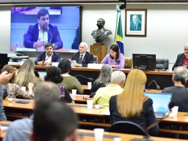Seminário - O Novo Arcabouço Fiscal e o Pacote de Cortes de Gastos: impactos na saúde, educação, seguridade social e direitos trabalhistas. Presidente - Conselho Federal de Economia, Paulo Dantas da Costa. Conselheiro - Conselho Regional de Economia do Estado de São Paulo (CORECON-SP), André Paiva. Dep. Sâmia Bomfim (PSOL-SP). Presidente - Conselho Regional de Economia do DF, José Luiz Pagnussat.