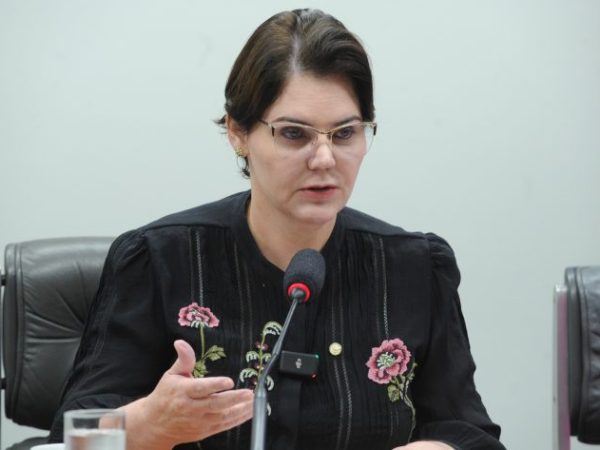 Audiência Pública - O Sistema Prisional Feminino e as Pessoas LGBTQIAPN+. Dep. Coronel Fernanda (PL - MT)