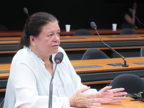 Audiência Pública - Comunidade Horto - Interesses e soluções sobre regularização fundiária. Dep. Laura Carneiro (PSD - RJ).