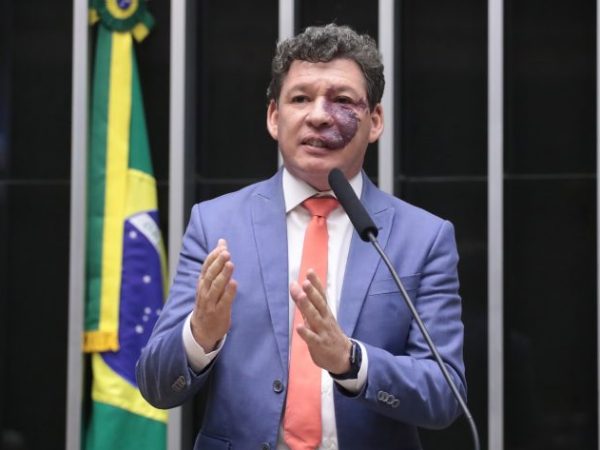 Discussão e votação de propostas legislativas. Dep. Reginaldo Lopes (PT-MG)