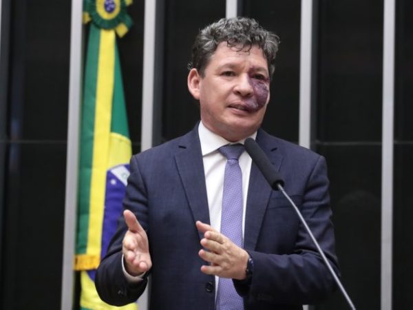 Discussão e votação de propostas legislativas. Dep. Reginaldo Lopes (PT-MG)