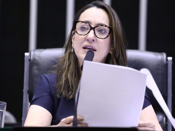 Deputada Rosangela Moro fala ao microfone