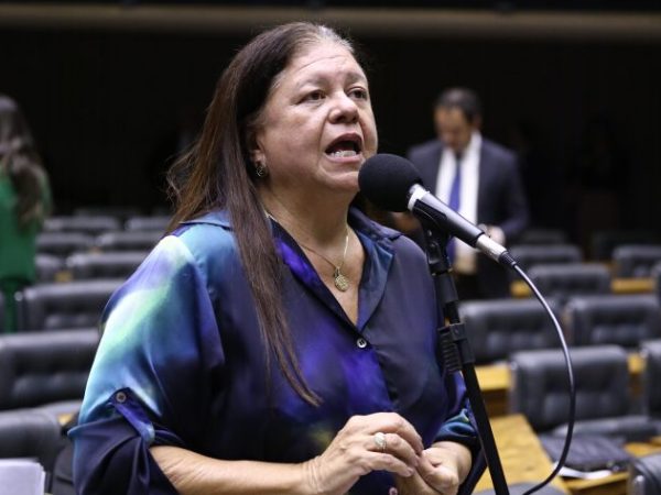 Discussão e votação de propostas legislativas. Dep. Laura Carneiro (PSD - RJ)