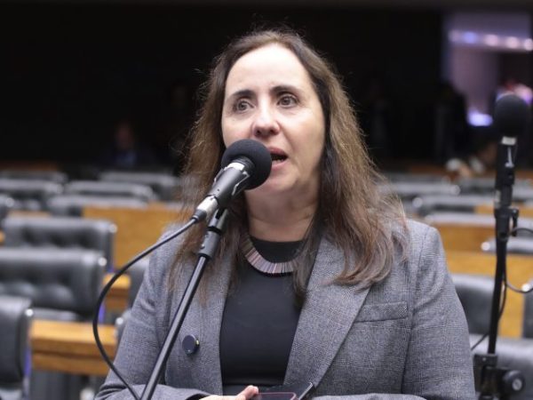 Discussão e votação de propostas legislativas. Dep. Adriana Ventura (NOVO - SP)