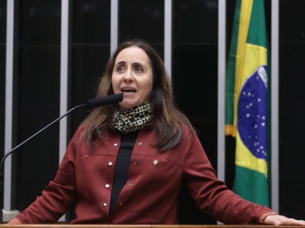 Discussão e votação de propostas legislativas. Dep. Adriana Ventura (NOVO-SP)