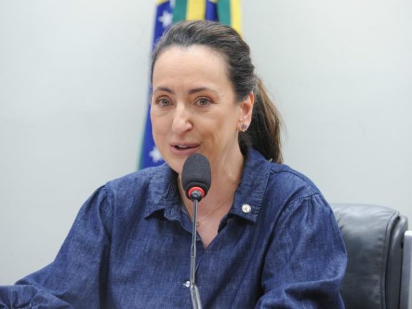 Deputada Rosângela Moro (União-SP) fala em comissão da Câmara dos Deputados