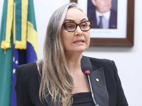 Deputada Daniela Reinehr fala ao microfone