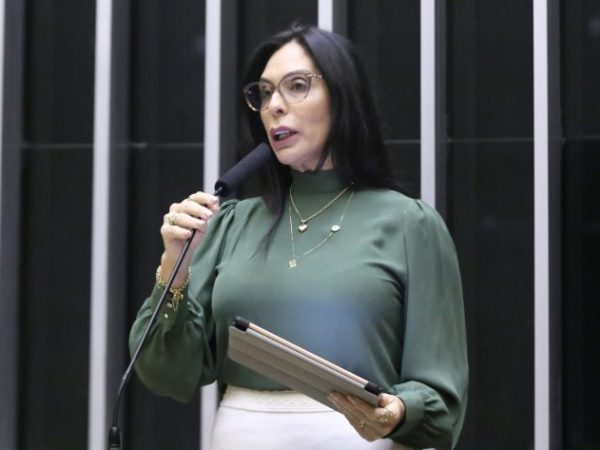 Discussão e Votação de Propostas Legislativas. Dep. Geovania de Sá (PSDB - SC)