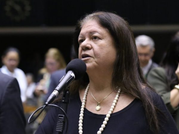 Deputada Laura Carneiro (PSD-RJ) fala no Plenário da Câmara dos Deputados